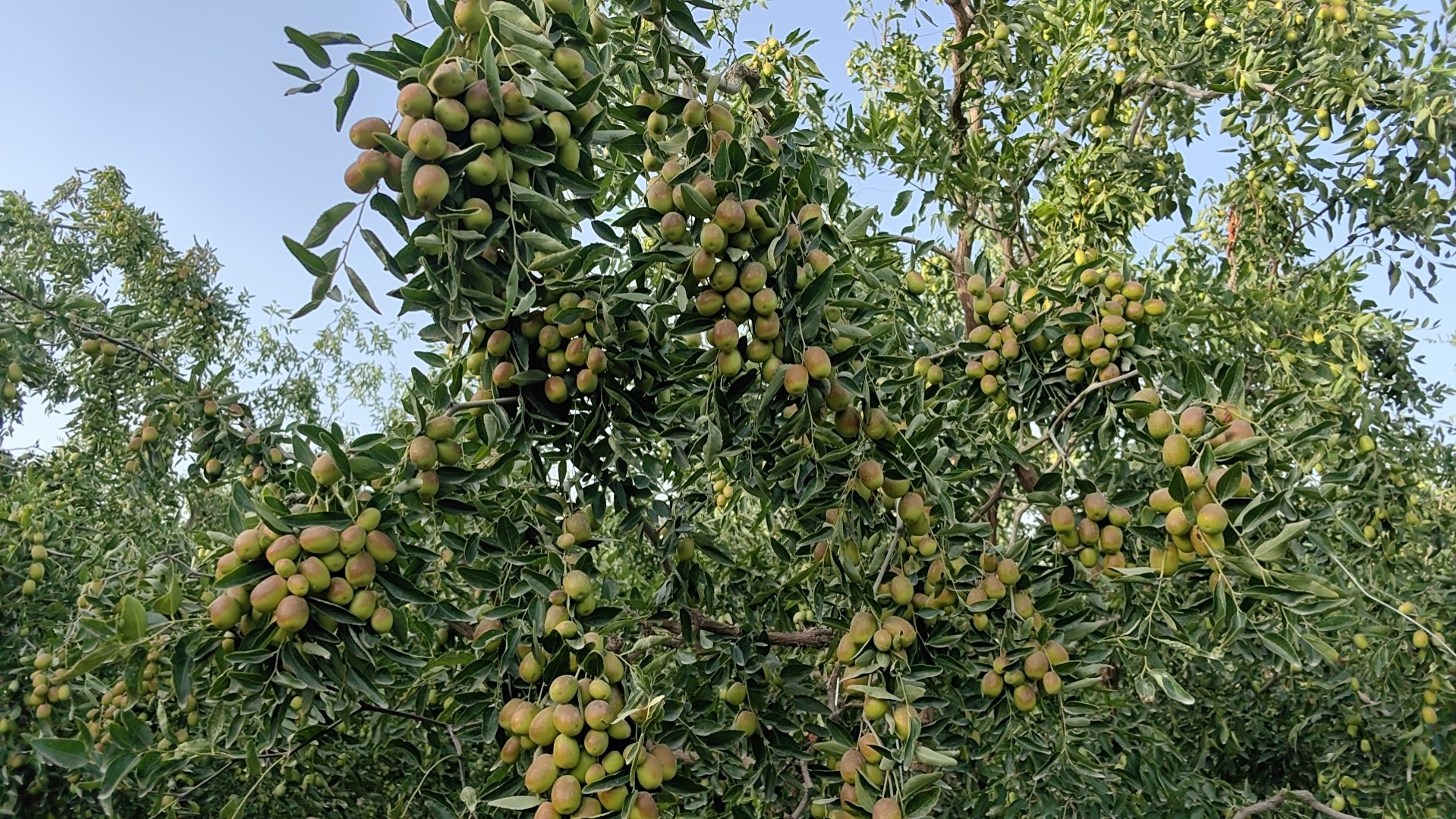 圖片關(guān)鍵詞
