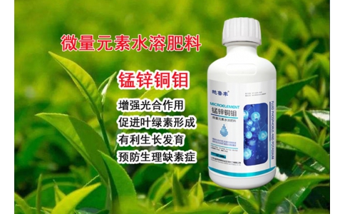 錳鋅銅鉬—保花保果，提高坐果率、膨大果實(shí)