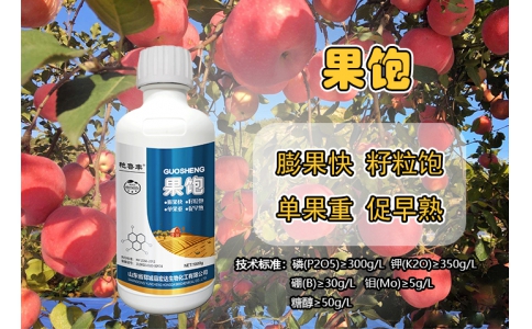 果飽(飽果多/秕果少)—膨果快  籽粒飽  單果重  促早熟