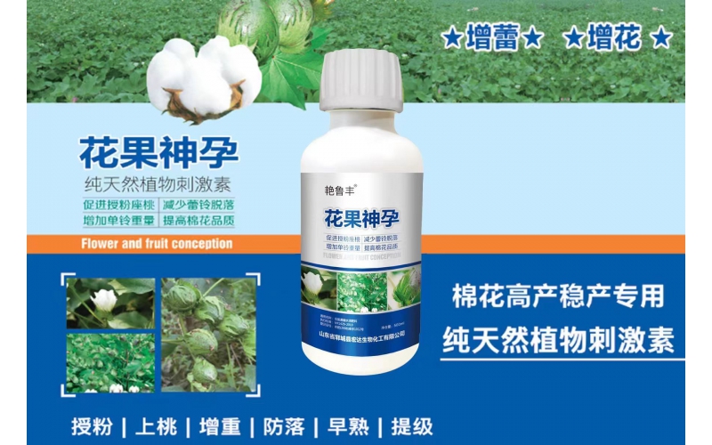 花果神孕—促進花芽分化、保花保果、膨果增產(chǎn)