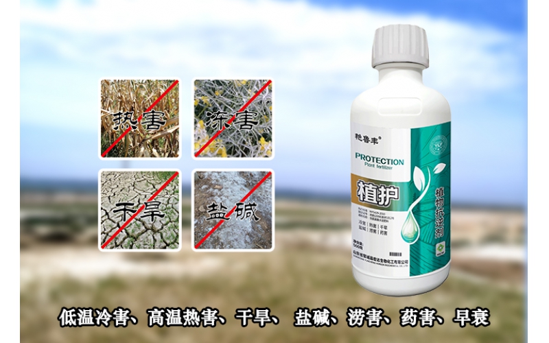 植護—針對低溫冷害、高溫?zé)岷?、干旱?鹽堿、澇害、藥害、早衰等問題