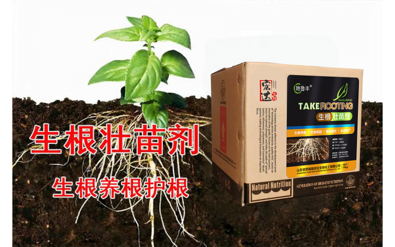 生根壯苗劑—生根養(yǎng)根，壯苗保苗，植株健壯，抗逆增產(chǎn)